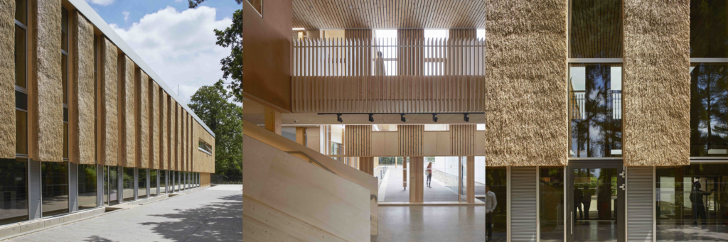 University of Anglia’s Enterprise Centre – a sustainable exemplar and a healthy building both for its occupants and the planet. Credit: Dennis Gilbert