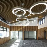 Rethinking sustainable construction: a future forged in timber
