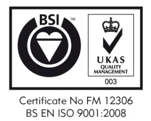 BSI_LOGO-300x240