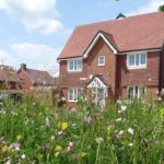 Housebuilding Can Lead on Biodiversity