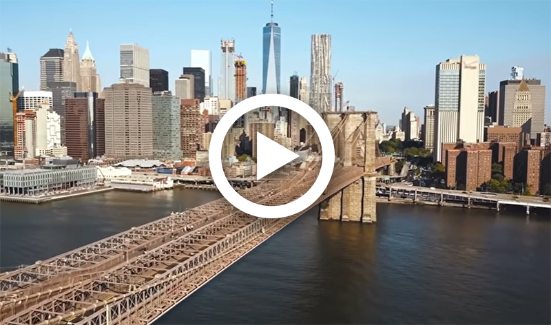 The Woman Who Built The Brooklyn Bridge