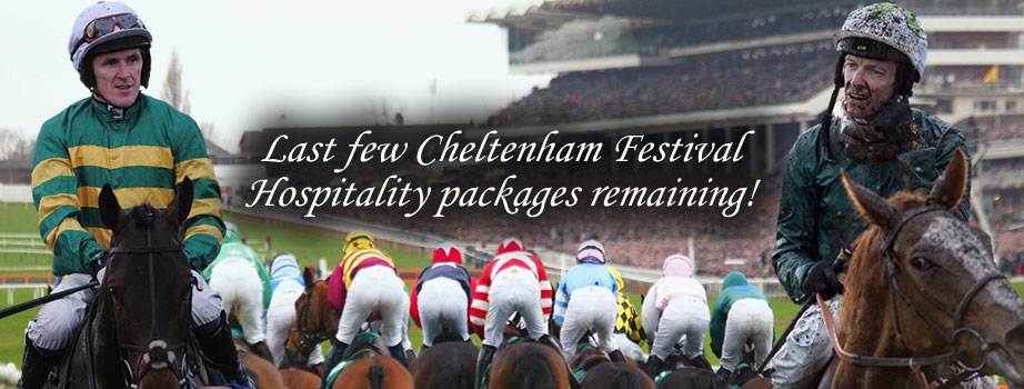 Looking for corporate hospitality for Cheltenham Festival 2015? VIP Event Butler have great deals for construction professionals 