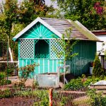 Sheds and glasshouses exempt from planning permission