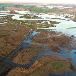 Tees programme launched to reduce flood risk and boost nature