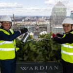 The Wardian development gets topped-out