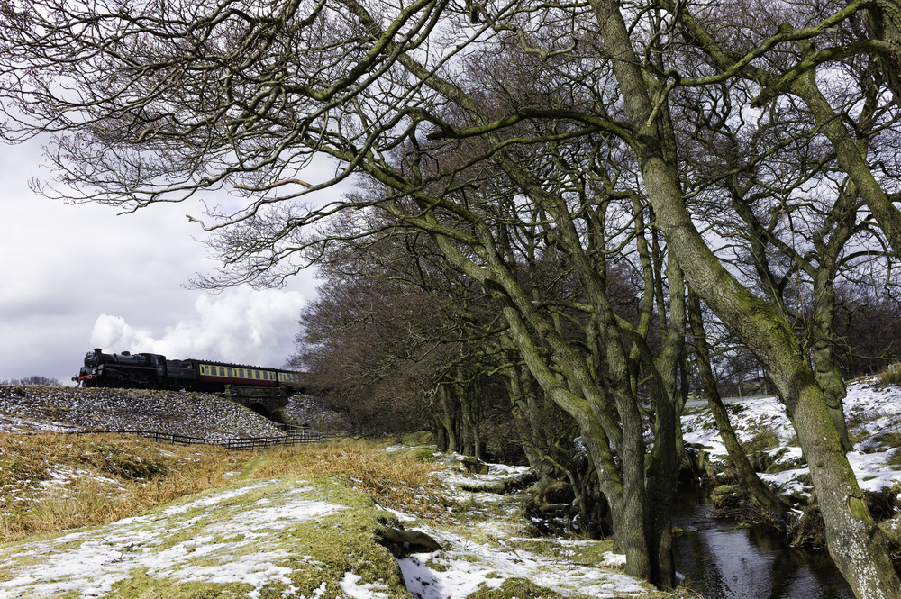 Slowing the Flow scheme reduced river flow by 15-20% ...