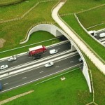 Innovative green bridge blooms
