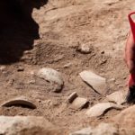 Infrastructure and archaeology: the benefits of early partnership