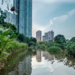 Biodiversity net gain: a golden opportunity for developers?