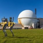 Robotic ‘dogs’ arrive at Dounreay