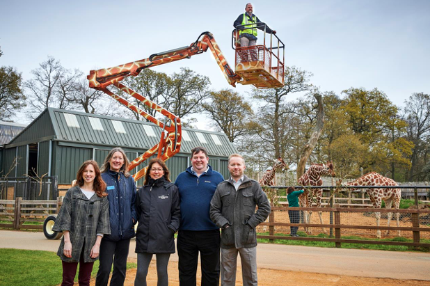 Unique giraffe boom lift gets new home at ZSL Zoo