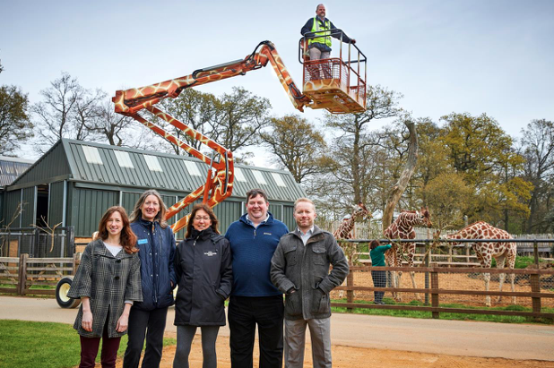 giraffe-boom-london-zoo