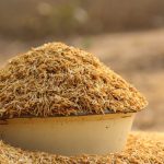 From Paddy to Panel: Harnessing Rice Husk Waste for Sustainable Building Insulation