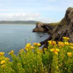 New plan to tackle flooding and coastal erosion in Wales