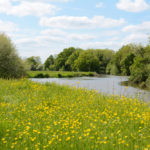 Flood defence contract awarded for Medway development