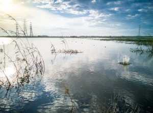 Dr David Smoker, Chair of the ICE SuDS Task Group talks to UK Construction Online about SuDS implementation.